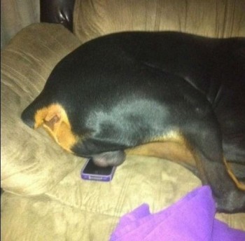 I didn't want my phone anyway