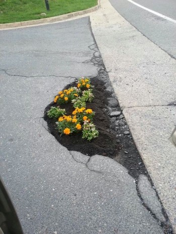 "Fixed"