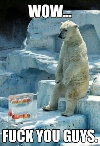 Polar bears have feelings too you know...