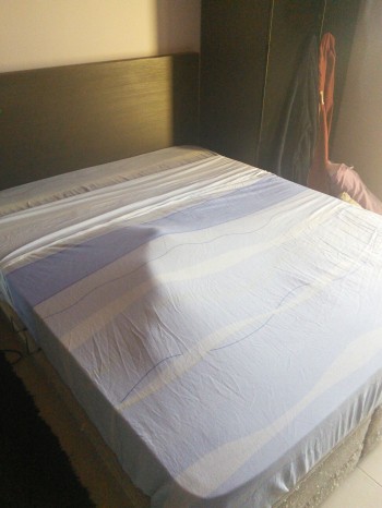 Trying to make my bed with the cat