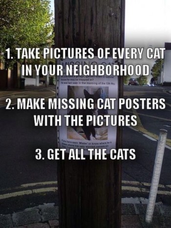 Free Cats Tutorial