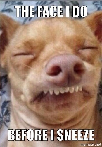 Sneezeface