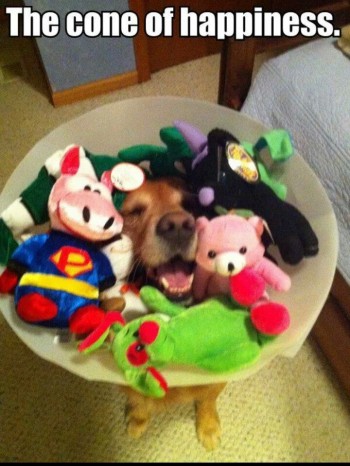 The cone of happiness