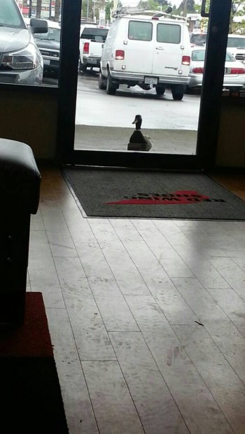 He's been staring at me for 5 minutes