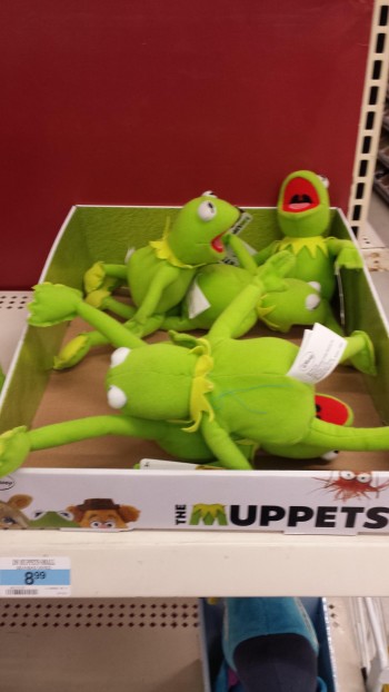 Kermit Party