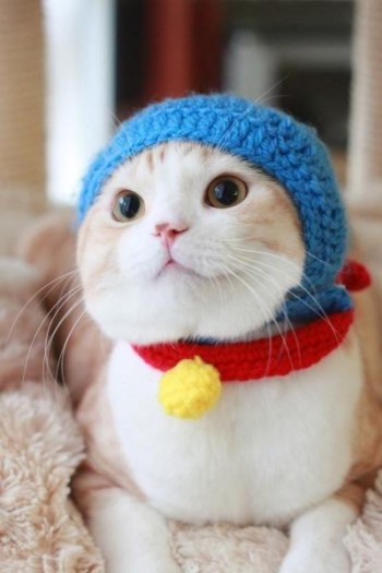 Eric Catman