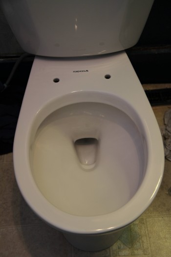 This toilet was very excited to be installed today