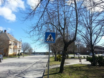 Silly Cross Walk