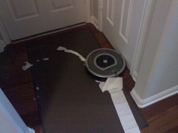 Bad Roomba! Bad!