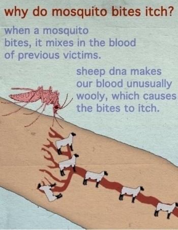 Science