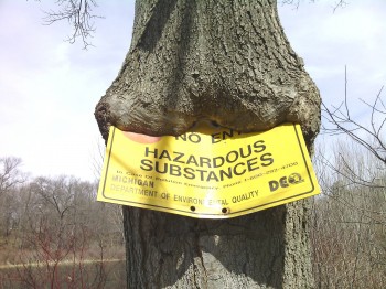 Tasty Hazardous Substances