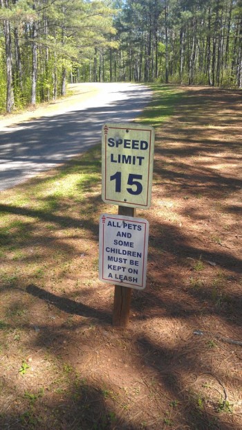 Leash Laws