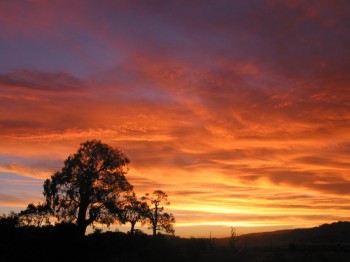 Desert Sunset