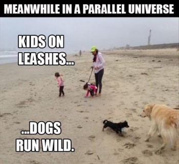 Meanwhile...