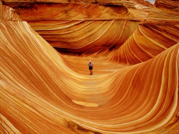 The Wave