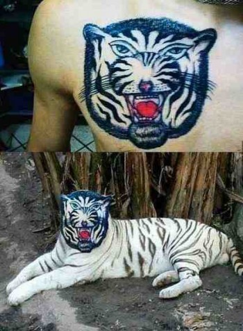 Nailed It