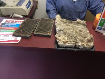 Air Filter Created By OPEC