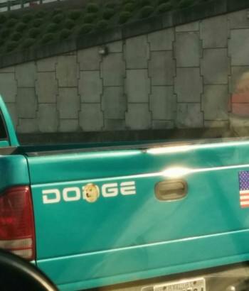 DOGE