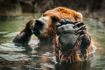 Relaxing bath