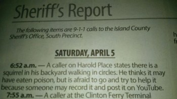 Sheriff's Report