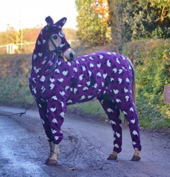 It's called fashion, look it up