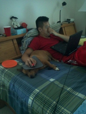 I'm not saying the dog is lazy, but....