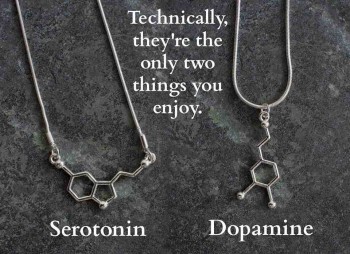 Happiness Summed Up