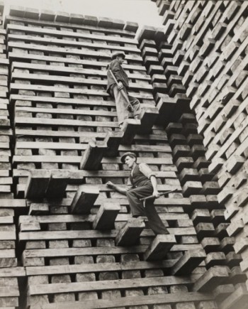 Seattle Cedar Mill, 1919