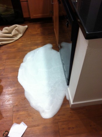 Dish soap is, NOT interchangeable with dishwasher soap