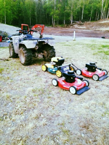 Ingenuity