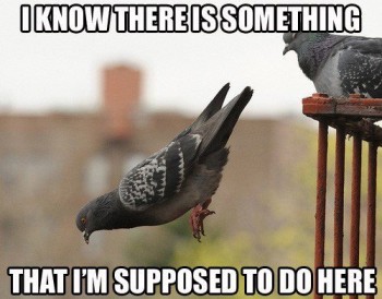 Forgetting Something?