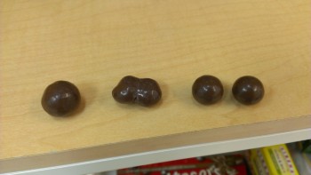 Malteser Mitosis