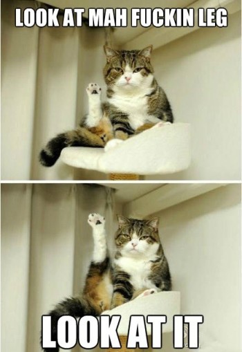 Leg