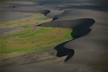 Black Dunes