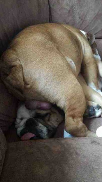 Shouldn't have fallen asleep first at the party