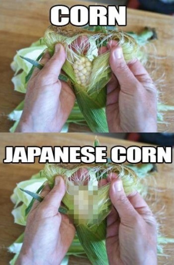 Cultural differences