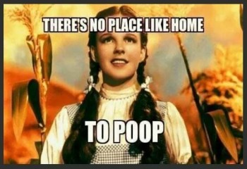 No place like home