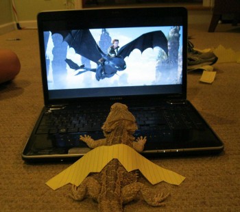 Dream Big