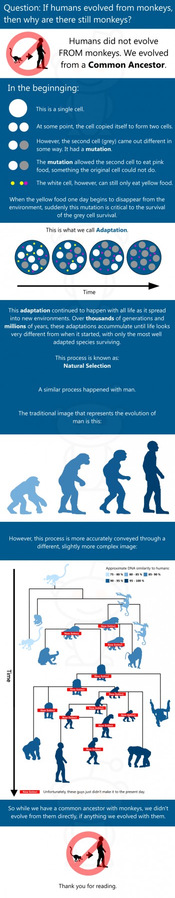 Evolution