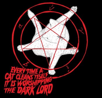 This is why cats are so evil