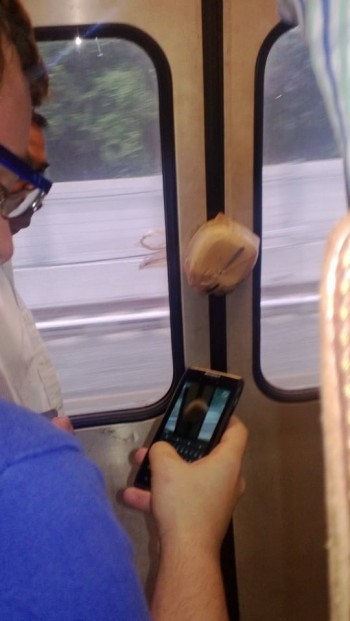 This guy's lunch made it on the subway without him
