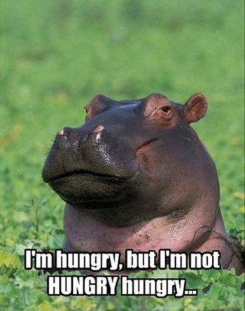 Hungry