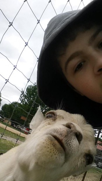 Selfie with a goat