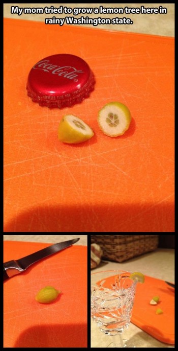 Lemons