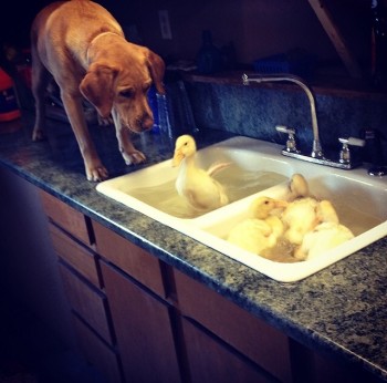 Supervising bath time
