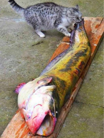 Lunchtime