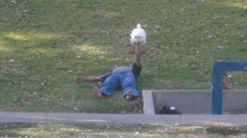 Homeless guy bench pressing a duck