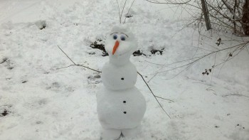 Olaf