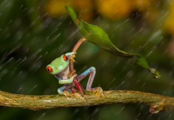 Weather Channel Audition