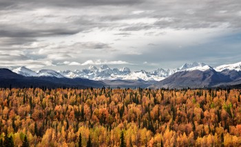 Autumn in Alaska